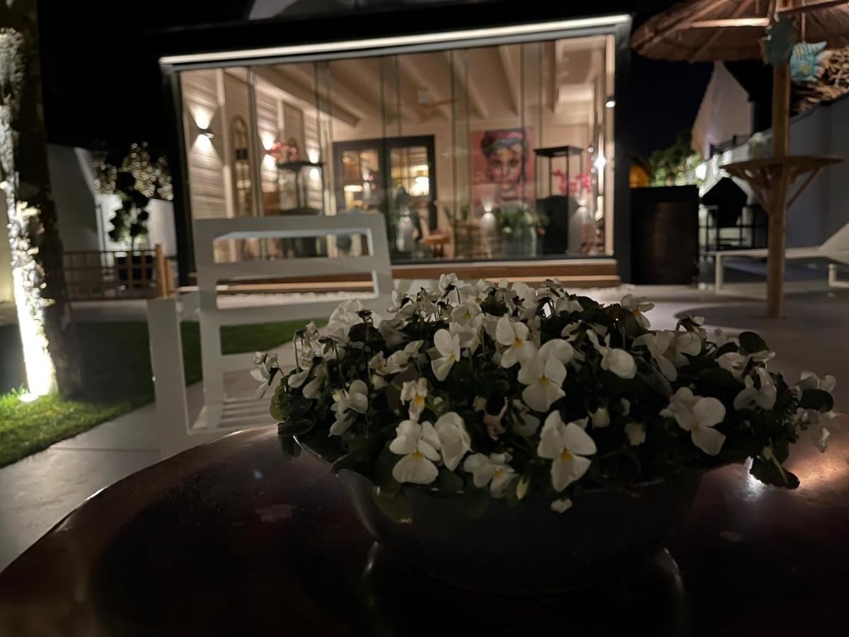 B&B Bubbles&Bites Oostvoorne Exteriér fotografie
