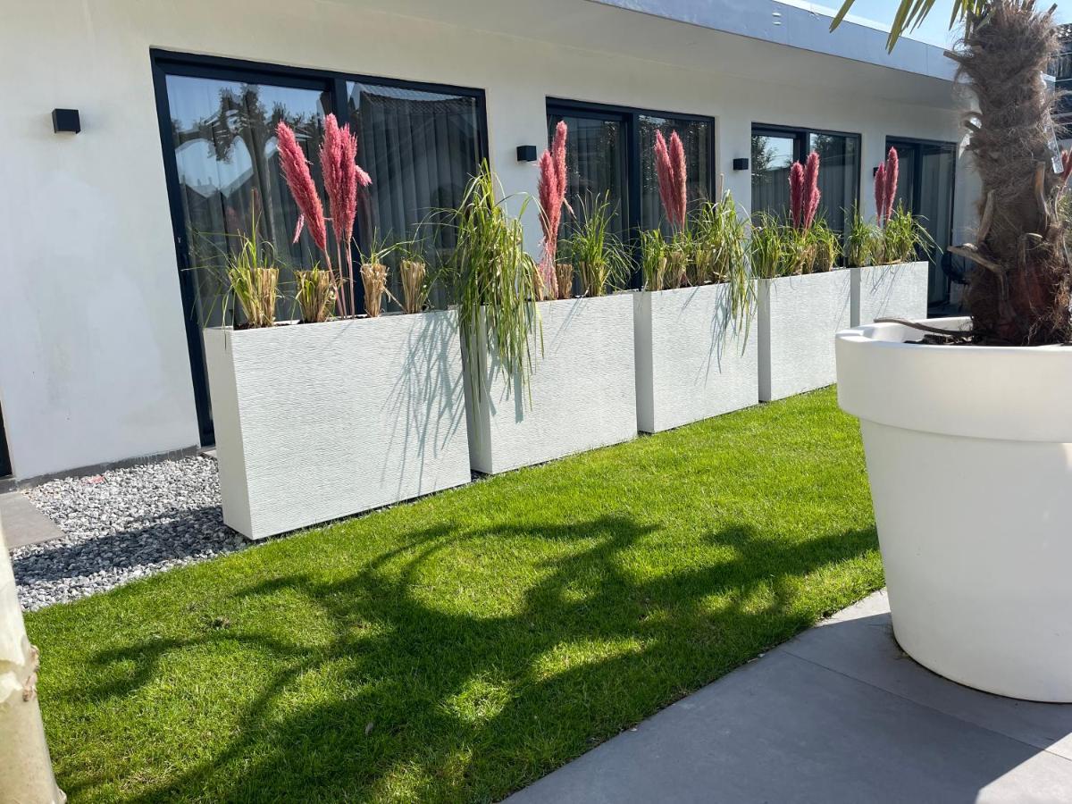 B&B Bubbles&Bites Oostvoorne Exteriér fotografie